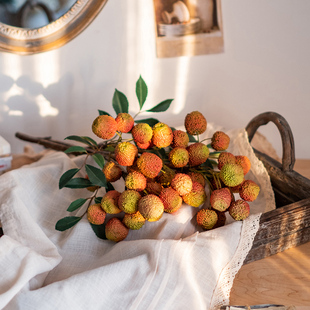 掬涵仿真荔枝寓意励志果实枝条植物插花艺术装饰田园客厅橱窗新年