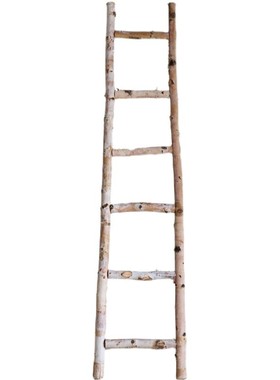 桦木装饰木梯子靠墙摆件拍摄道具橱窗展示花园庭R院落地收纳整理