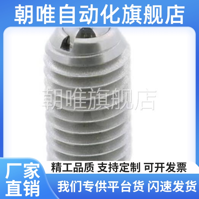 替代一字槽球头柱塞C-BPES/BPEU3/4/5/6/8/10/12/16