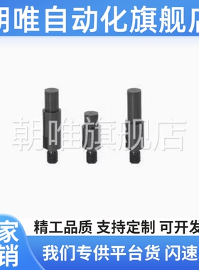 LXAA LXNAA PLXAA PLXNAA SLXAA悬臂销六角型/标准扣环型