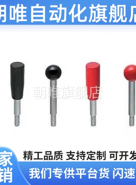不锈钢球形握柄把手LBGS6/8/10/12-63/80/100/125/160/200-R B