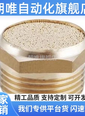 替电磁阀平头消声器 BSLM-01 BSLM-02 BSLM-03 BLSM-04 BSM-06 分