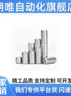 BLX01-h7-D8/D5/D6/D10-L25/L30/L40/L45/L50/L20/L15/L10定位销