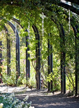 ontrol Device Agricultural Scare Bird Garden Ornaments Decor