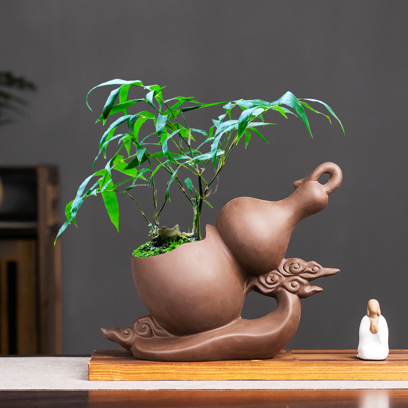 新中式紫砂葫芦造景盆景花盆家用客厅办公室复古文竹六月雪带托盘