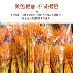 精品黄金大麦开业花篮装饰麦穗大麦穗干燥花特大号