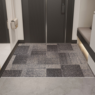 入户门地垫耐脏免洗网红丝圈pvc轻奢简约现代门口进门地毯垫子