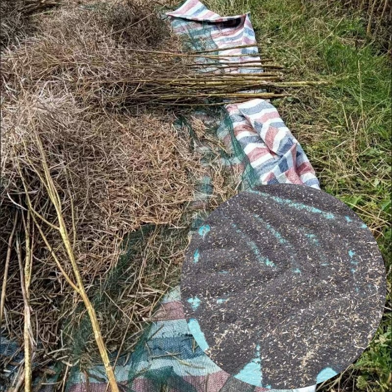 打油菜籽专用布打菜籽的筛网过滤收集工具晾晒凉干芝.麻大豆农用