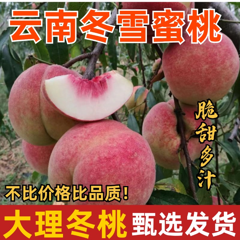 红桃子现摘脆甜新疆水果