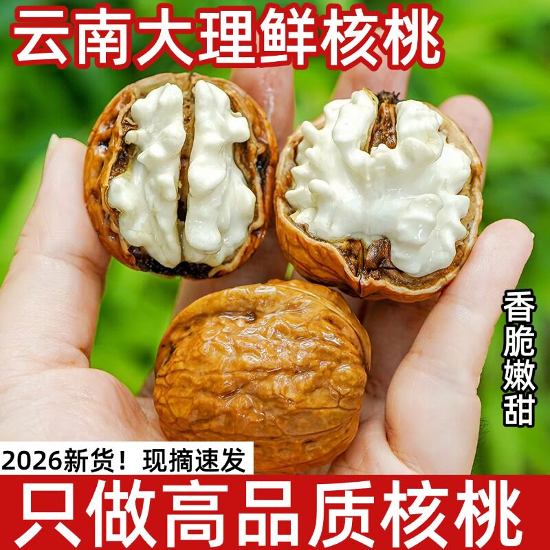 云南新鲜湿核桃去青皮薄皮核桃