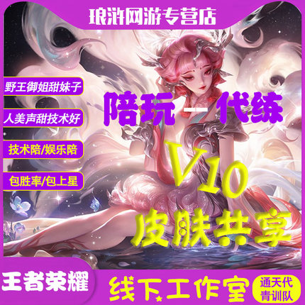 王者荣耀陪玩陪打排位上分车队上星包赢包胜率国服技术娱乐陪练