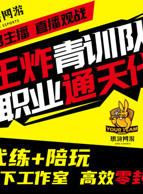 王者荣耀代打代练小国标巅峰赛省标金标排位战力陪玩带上分车队