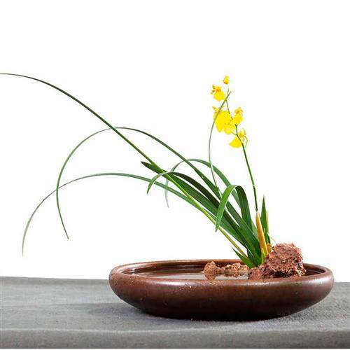 风凌石头奇石沙漠戈壁玛瑙灵璧石观光石盆景禅意插花工具材料原石