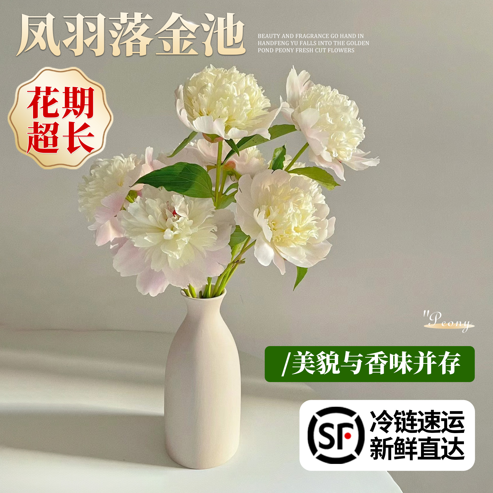 凤羽落金池芍药鲜切花云南直发花束山东菏泽芍药鲜花客厅水养花卉