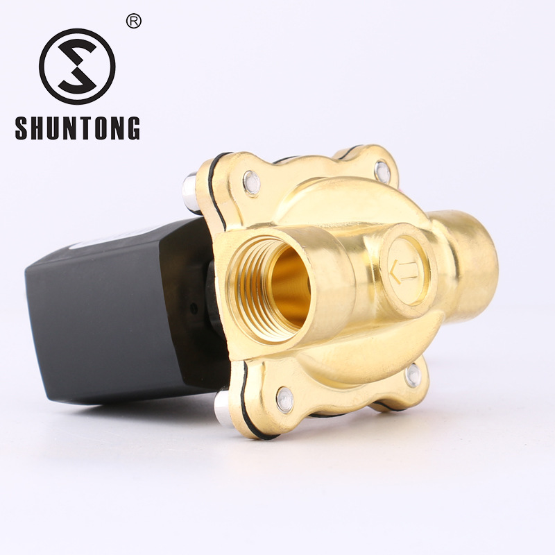 实力商家2WS1-15引线常压膜片AC220V4分进水常温DN15-DN25电磁阀