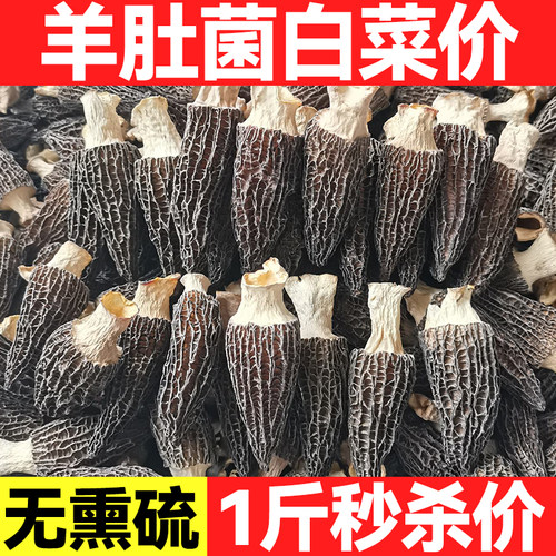 农家羊肚菌干货精选煲汤食材农家特产非野生滋补养生菇类干货批发