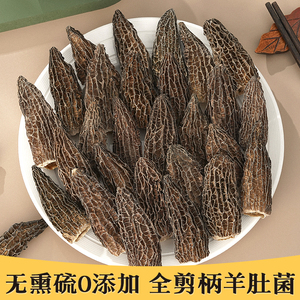 今年新头茬全剪柄羊肚菌干货500g包邮羊肚菇茵羊肚蘑羊肚箘牛肚菌