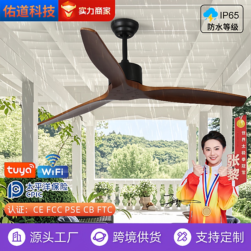 户外防水风扇灯无灯款阳台庭院凉亭吊扇灯阳光房全光谱护眼风扇灯