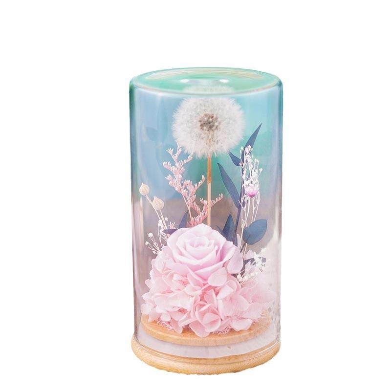 毕业礼物蒲公英永生花送朋友diy手工干花伴手礼生日礼品,家居饰品,餐桌花艺,淘宝优惠券,粉丝福利购,淘宝优惠卷