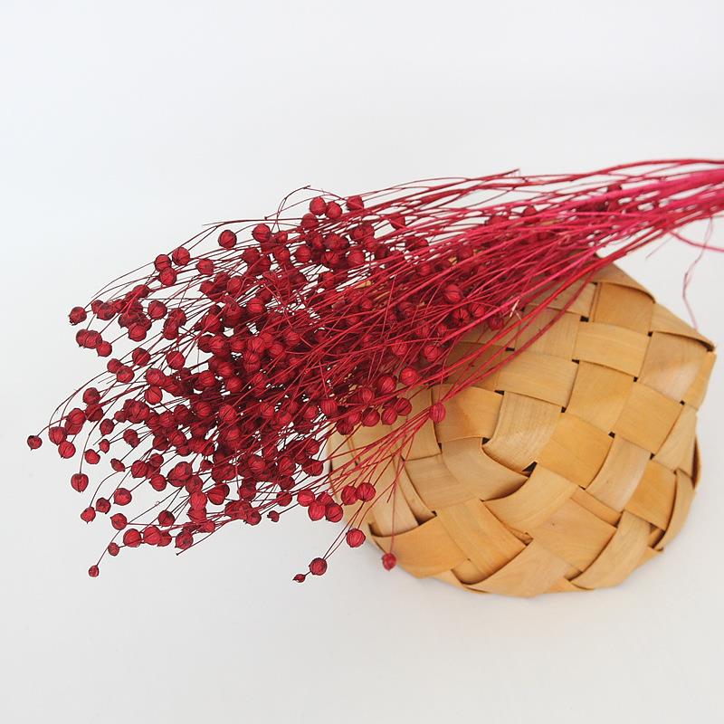 干花相思豆永生花礼盒配花花材干花家居插花拍照道具