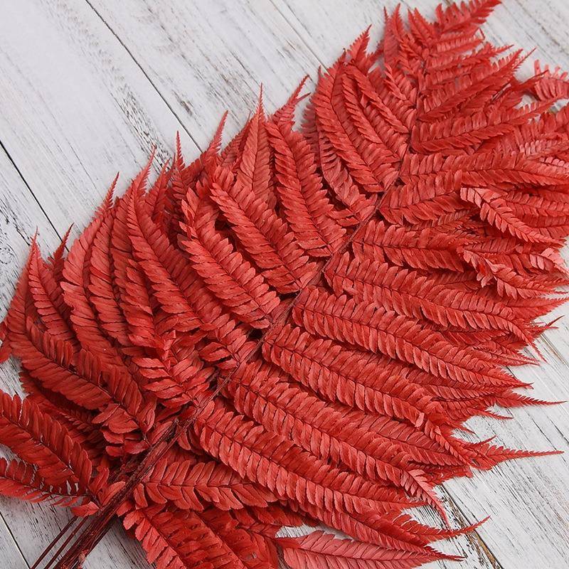 永生花花材蕨叶DIY材料配材永生厥叶永生花礼盒玻璃罩花环材料