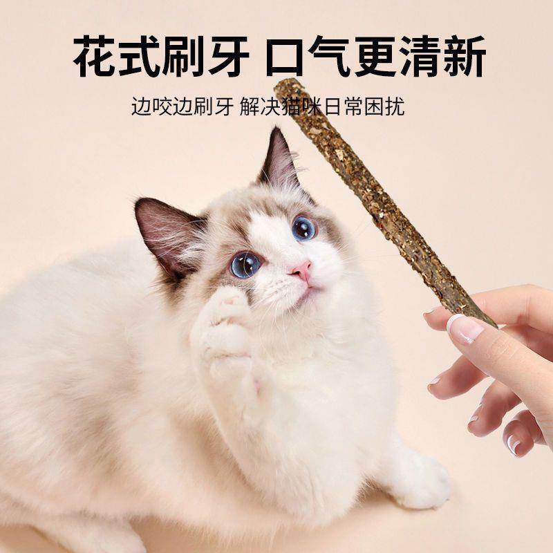 猫咪磨牙棒木天蓼棒猫咪玩具啃咬猫薄荷洁齿幼猫小猫咬棒磨牙棒猫