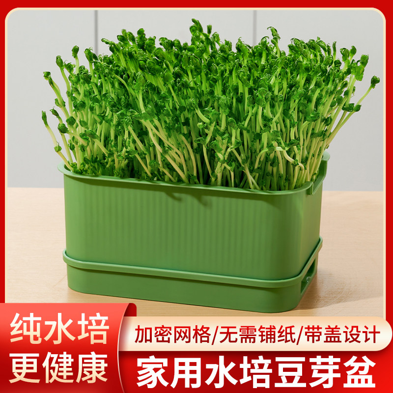 水培豆芽家用大容量豆芽菜种植绿豆芽黄豆芽水培神器多功能种植盆