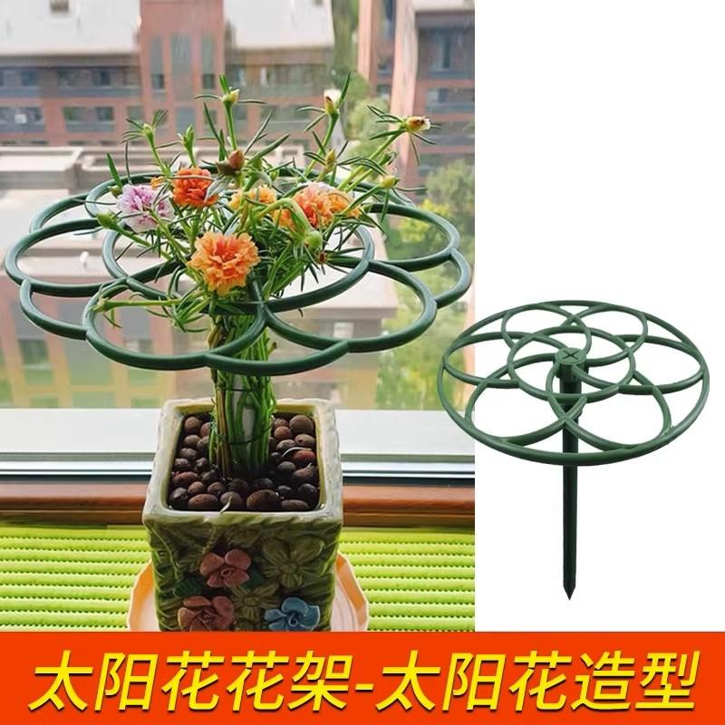 太阳花造型支架仙人掌蟹爪兰嫁接用支撑爬藤棒棒糖固定支撑架花架