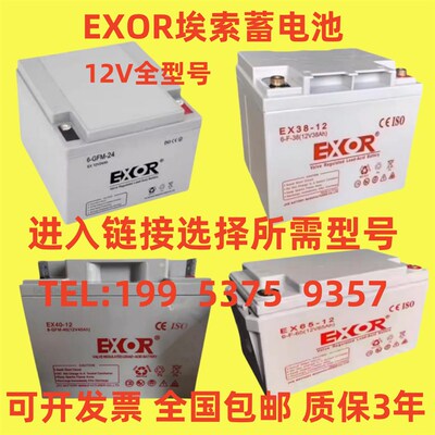 EXOR埃索蓄电池EX12V7A12A17A24A38A40A65A80A100A120AH直流屏UPS