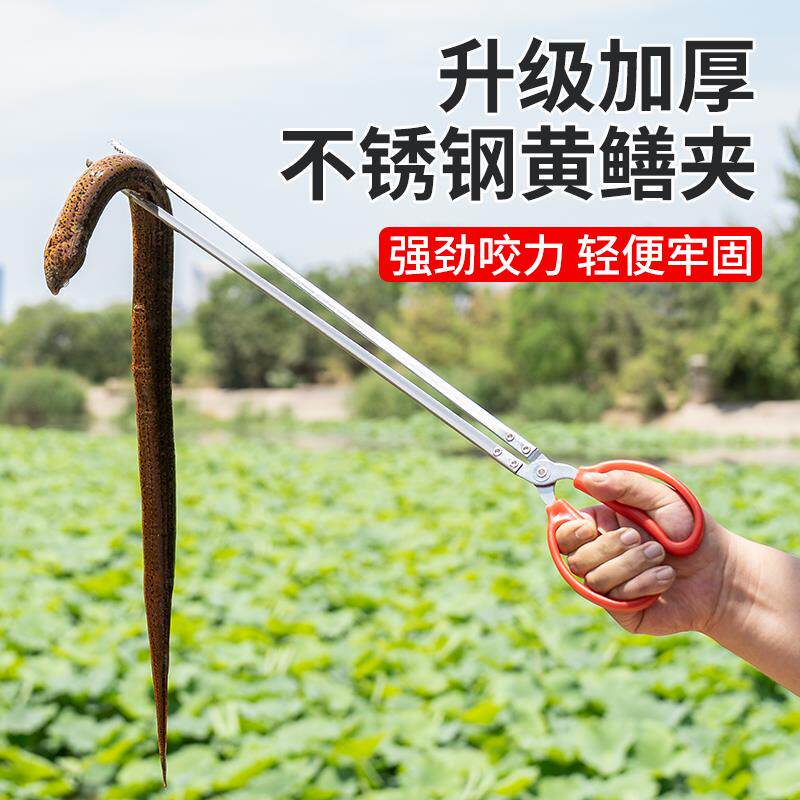 黄鳝夹子不锈钢鳝鱼专用夹神器夹泥鳅钳子抓龙虾螃蟹防滑赶海工具