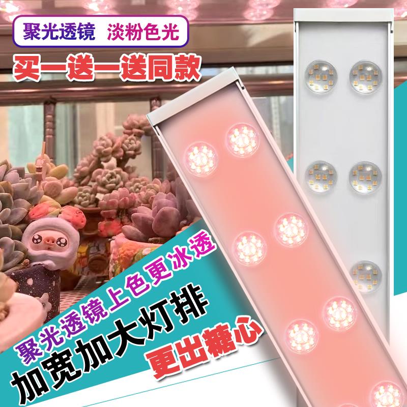 欧美科多肉补光灯上色全光谱家用室内植物生长仿太阳防徒花卉育苗
