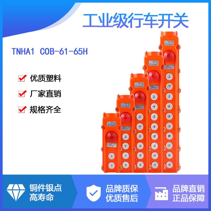 森奥TNHA1 COB-61H/62H63H64H65H行吊车葫芦操作按钮起重防水开关