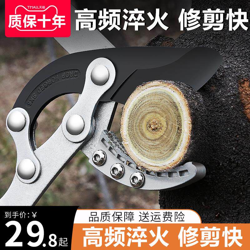 剪树枝专用剪刀果树剪枝修枝剪修剪修粗枝剪加长园林大剪子枝剪图片