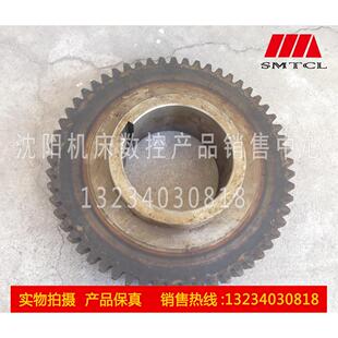 343 原厂配件 齿轮 沈阳机床管螺纹车床 Z57 262A 2029L