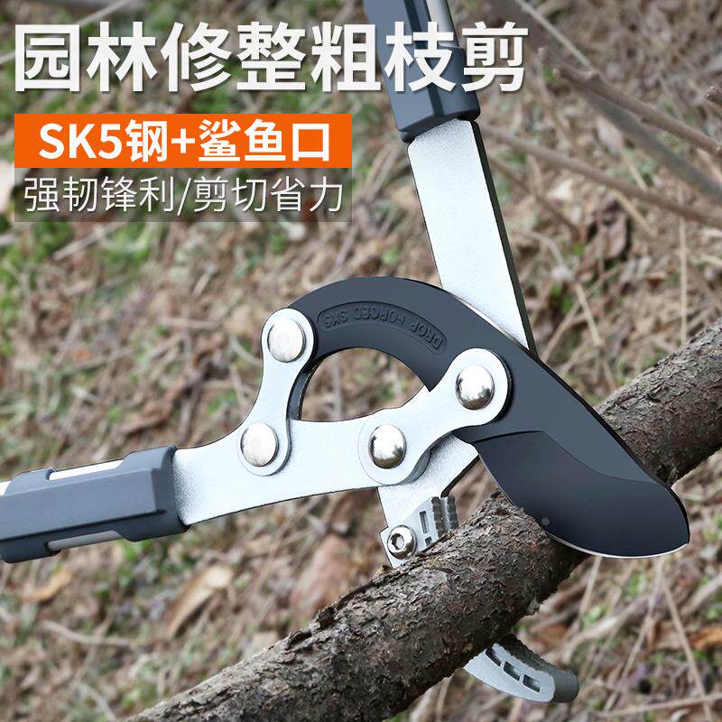 剪树枝专用剪刀果树剪枝修枝剪修剪修粗枝剪加长园林大剪子枝剪图片