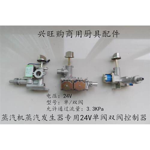 蒸汽机蒸汽发生器耀龙ZD252A24V单电磁阀TJ22-35进口双24V电磁阀