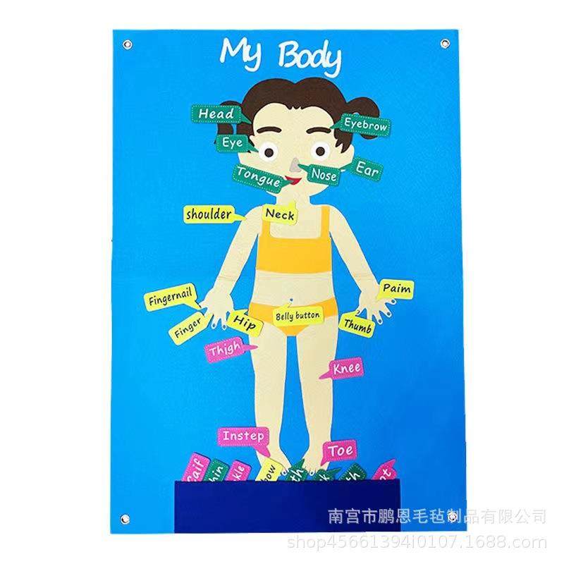 毛毡早教益智玩具幼儿园儿童早教身体认知部位结构拼图,文具电教/文化用品/商务用品,软木板/照片板/毛毡板,淘宝优惠券,粉丝福利购,淘宝优惠卷