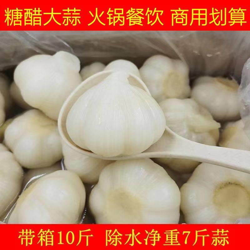 糖醋大蒜头酸甜脆口水晶糖蒜大瓣带箱10斤下饭菜咸菜腌制泡菜商用
