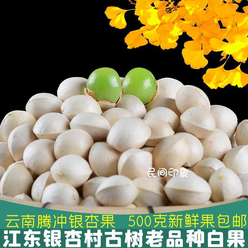 银杏果白果2024年新鲜果云南腾冲银杏村老品种古树绿心日料糯白果