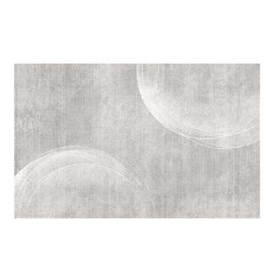 地毯客厅轻奢高级感ins风沙发地垫大面积全铺卧室床边地毯