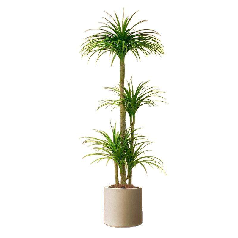 仿真绿植龙血树室内盆栽大型仿生植物假花树装饰造型客厅落地摆件