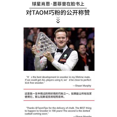 进口TAOM巧克TAOM粉10中式黑八斯诺克干九性球杆V台球业职级塔悟