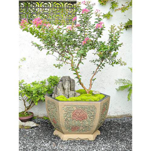 中庭院造景置大花盆户花园布水养花缸阳式台A149外装饰种植盆景