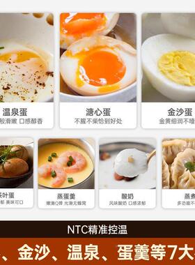 日本新11678功款蒸蛋器蛋煮器2025新款多能家用小型自断电早动餐