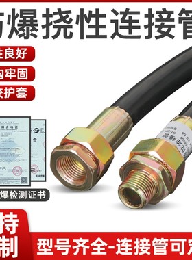 BNG防爆挠性连接管DN20防爆穿线软管DN15防爆挠性连接软NGD挠性管