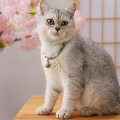 好货Pet dog collar cat collar bell necklace accessories项圈