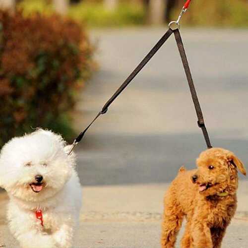 好货.Double Twin Dual Coupler Dog Leash Two in One Strong Ny