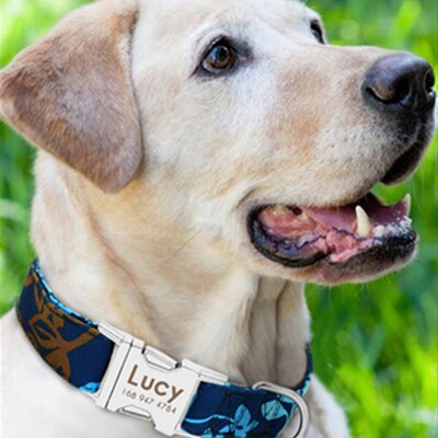 好货Dog Collar Pet Tag Puppy Cat Nameplate ID Collars Adjust