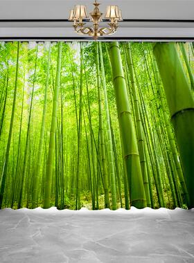 极速定窗帘布景纱帘35-绿色3D制实风景画绿色竹图案书房室卧客厅