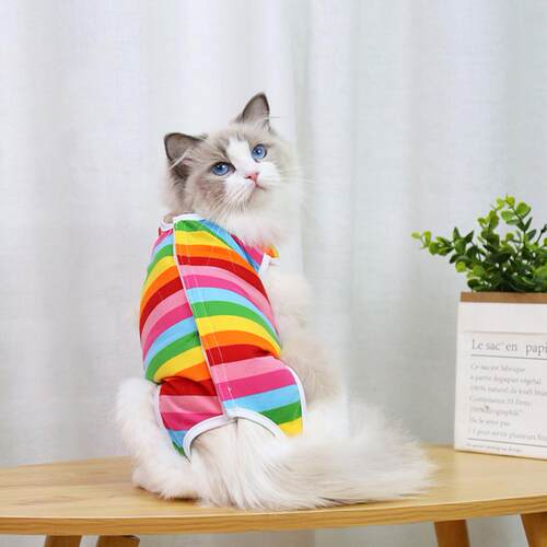 极速Cat Weaning Sterilization Clothes Elastic Surgery After
